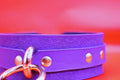 Purple leather choker collar with gold studs, perfect as a discreet day collar in BDSM jewelry and fashion.