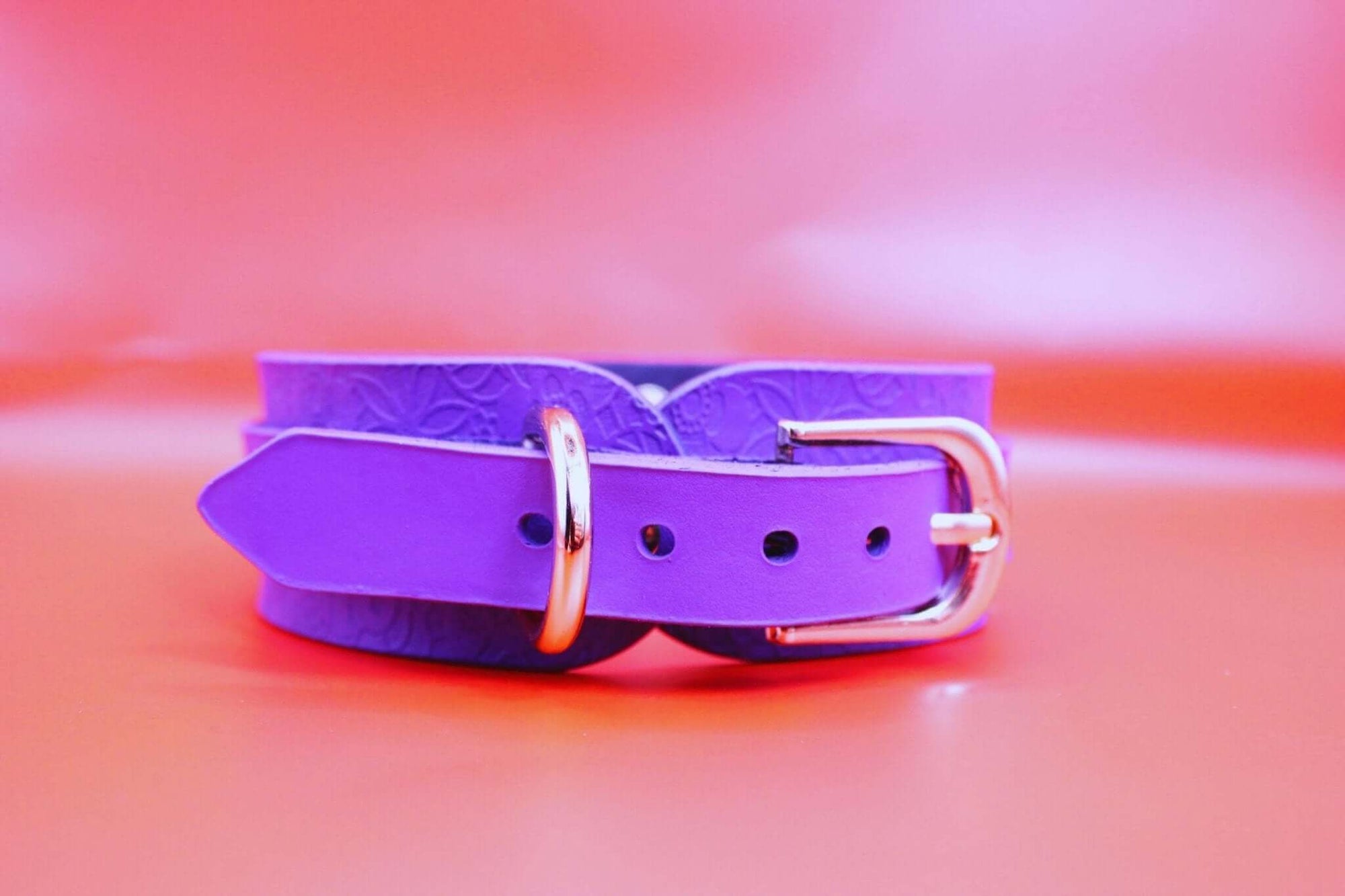 Purple leather choker collar with gold buckle, perfect for BDSM and discreet day wear, combining elegance and bold style.