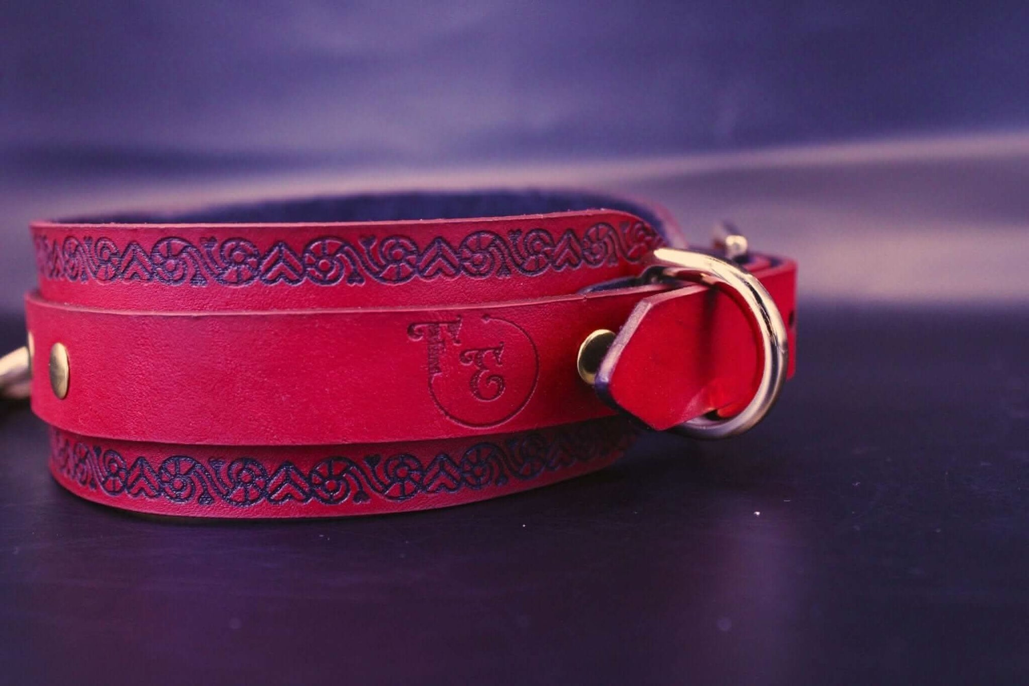 Red leather BDSM collar with O-ring, a striking submissive collar jewelry piece for power exchange and bondage play.