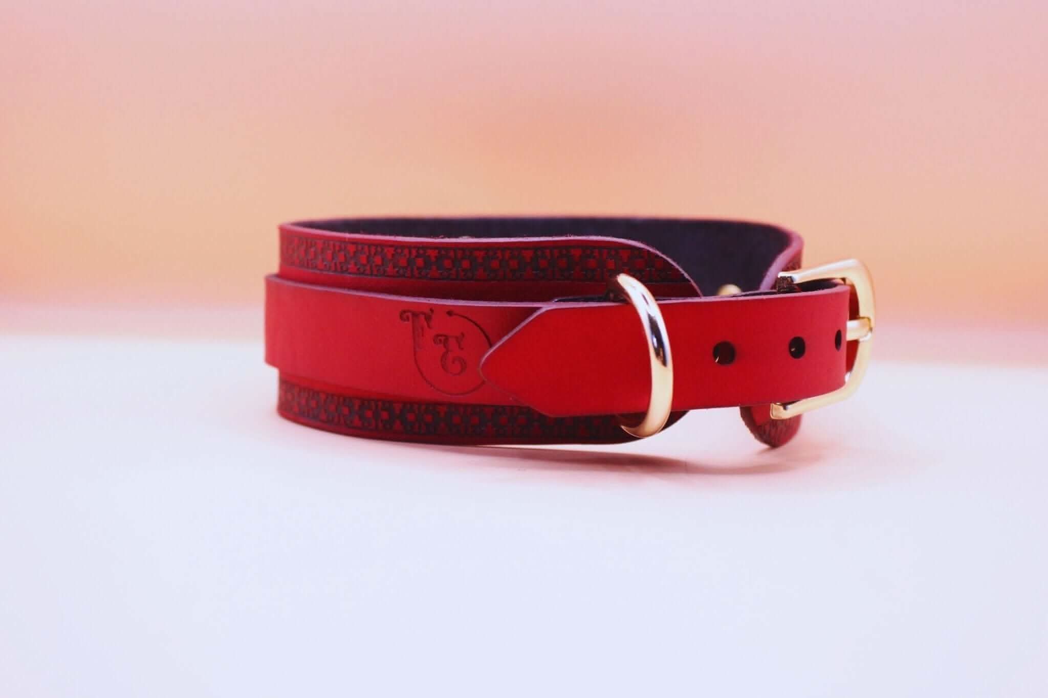 Red posture collar with golden ring and black engraving, perfect for BDSM, submissive jewelry, and bondage accessories.