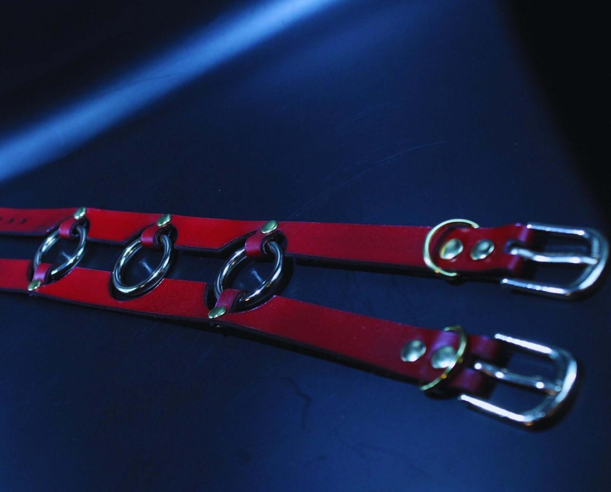Red leather bondage collar with gold rings, perfect for BDSM play and submissive jewelry.