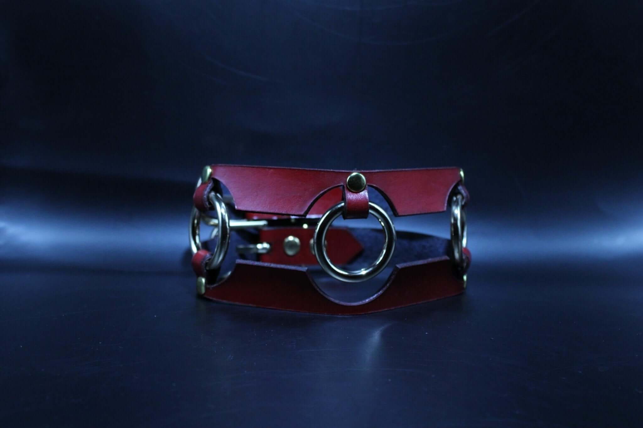 Red leather BDSM collar with metal rings, perfect for bondage and submissive jewelry lovers.
