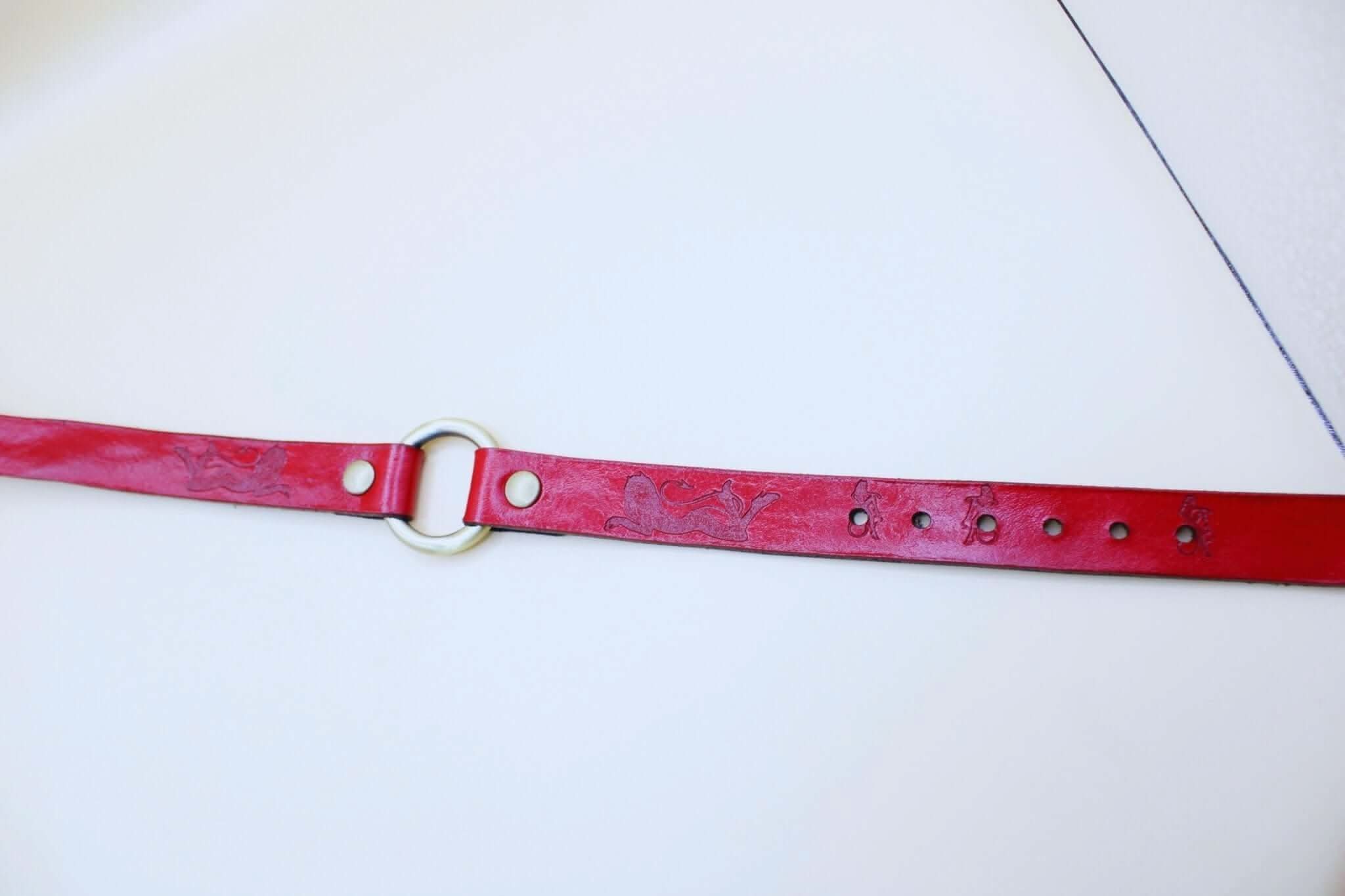 Red leather BDSM day collar with embossed design and metal ring, ideal for submissive jewelry and bondage accessories.