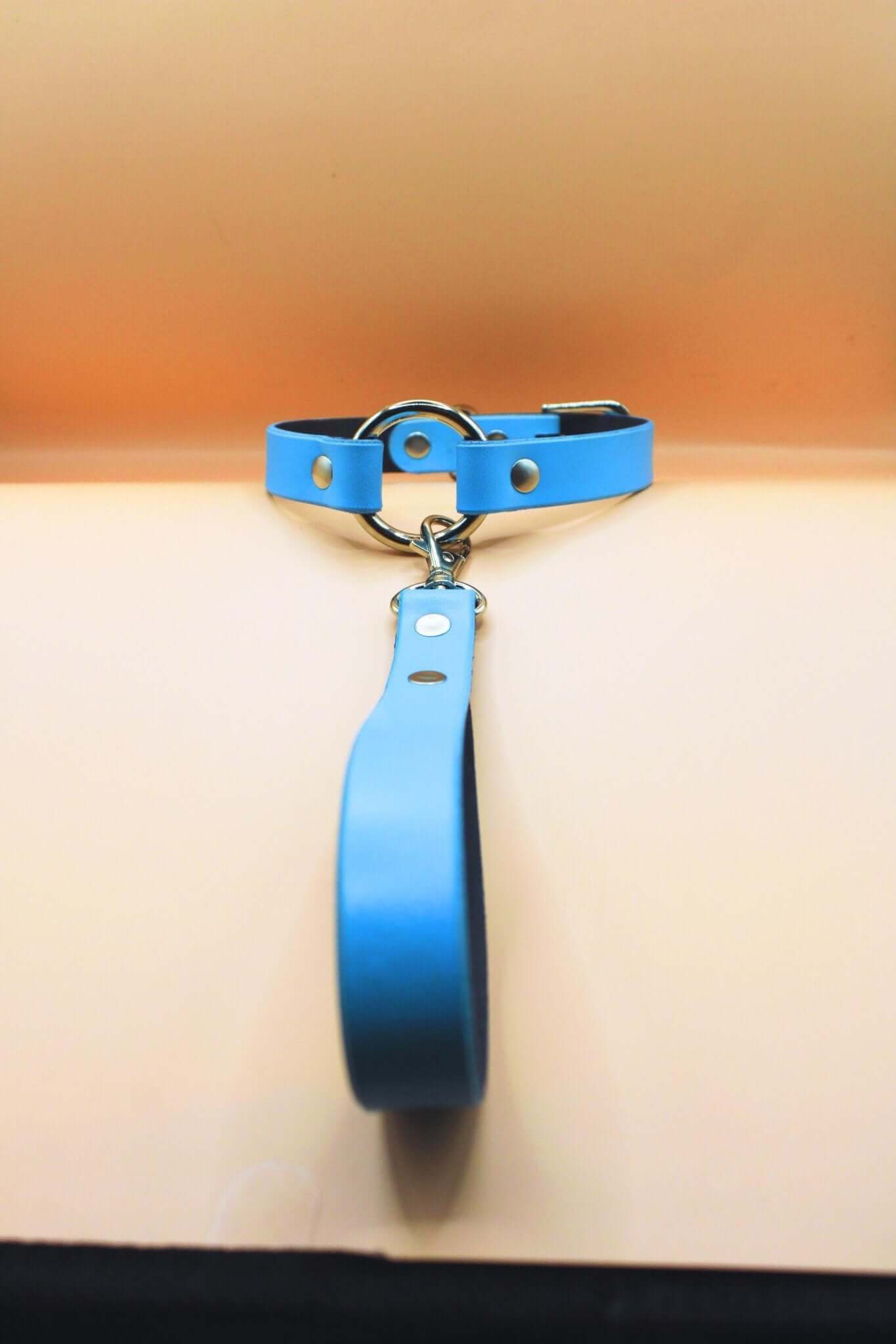 Blue leather submissive collar and leash set, perfect for discreet BDSM play and stylish bondage gear.