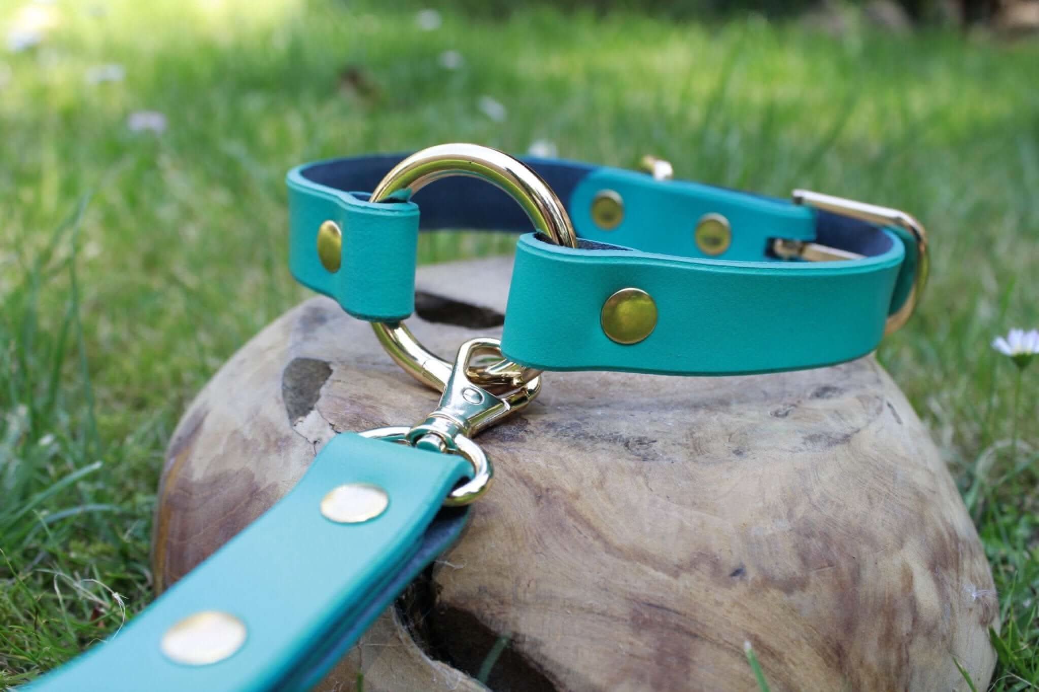 Turquoise leather BDSM collar and leash set, perfect for submissive day wear and discreet play, featuring gold hardware accents.