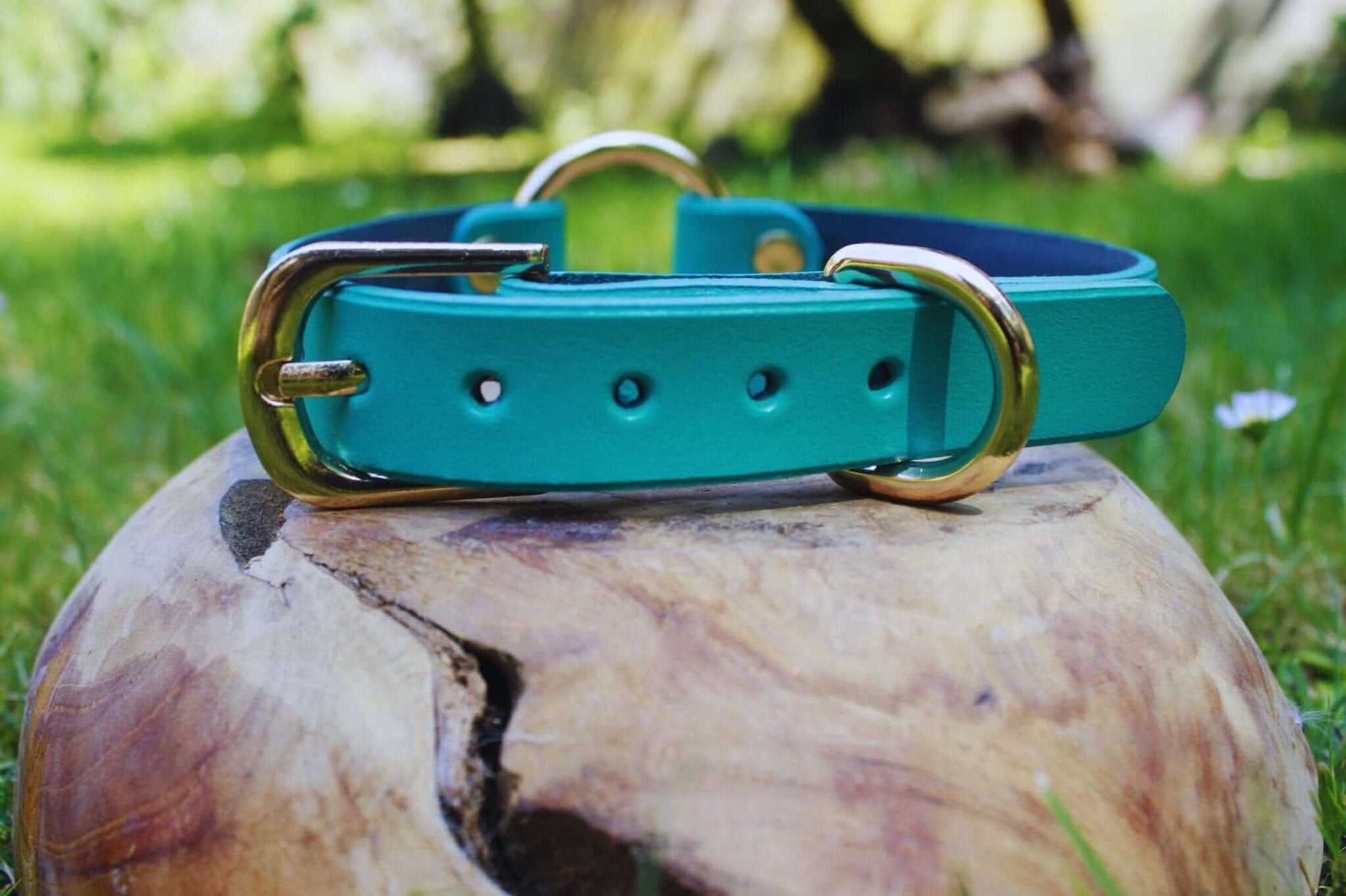Turquoise leather submissive collar with gold hardware on a natural wooden surface, perfect for discreet day wear.