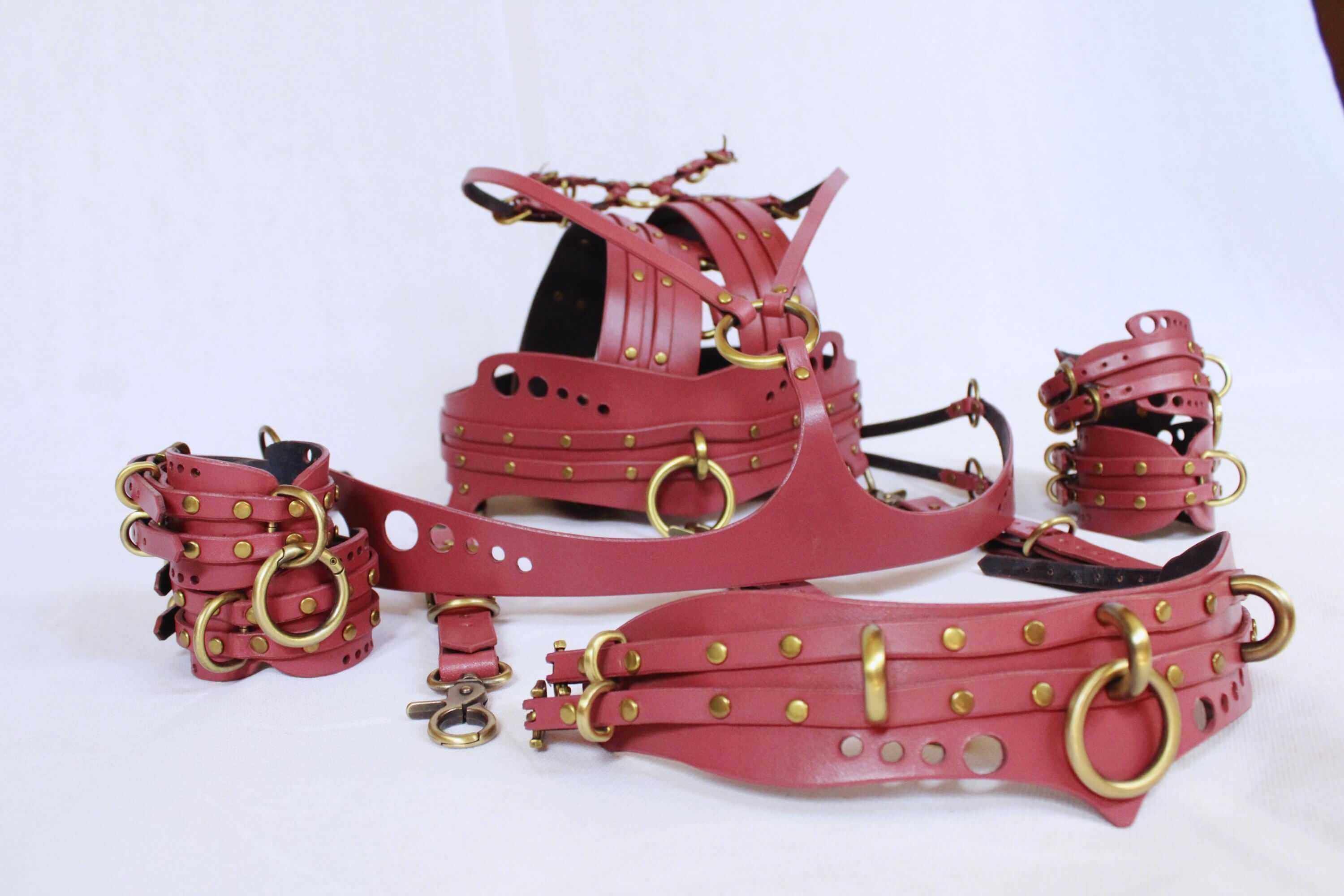 Bondage harness set in mauve leather with golden hardware, including cuffs, collar, and adjustable straps for submissive play.
